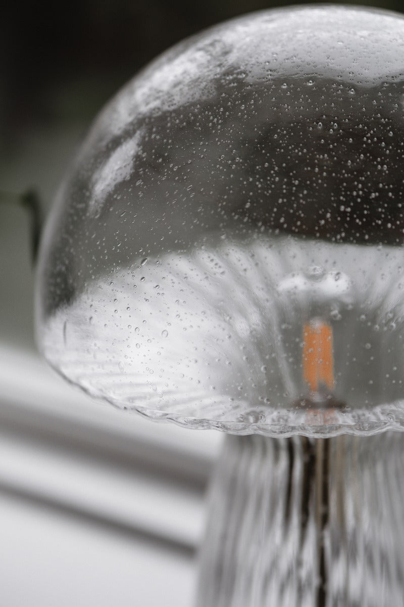 Fungo 30 Lauavalgusti, Clear - Globen Lighting - snug.ee