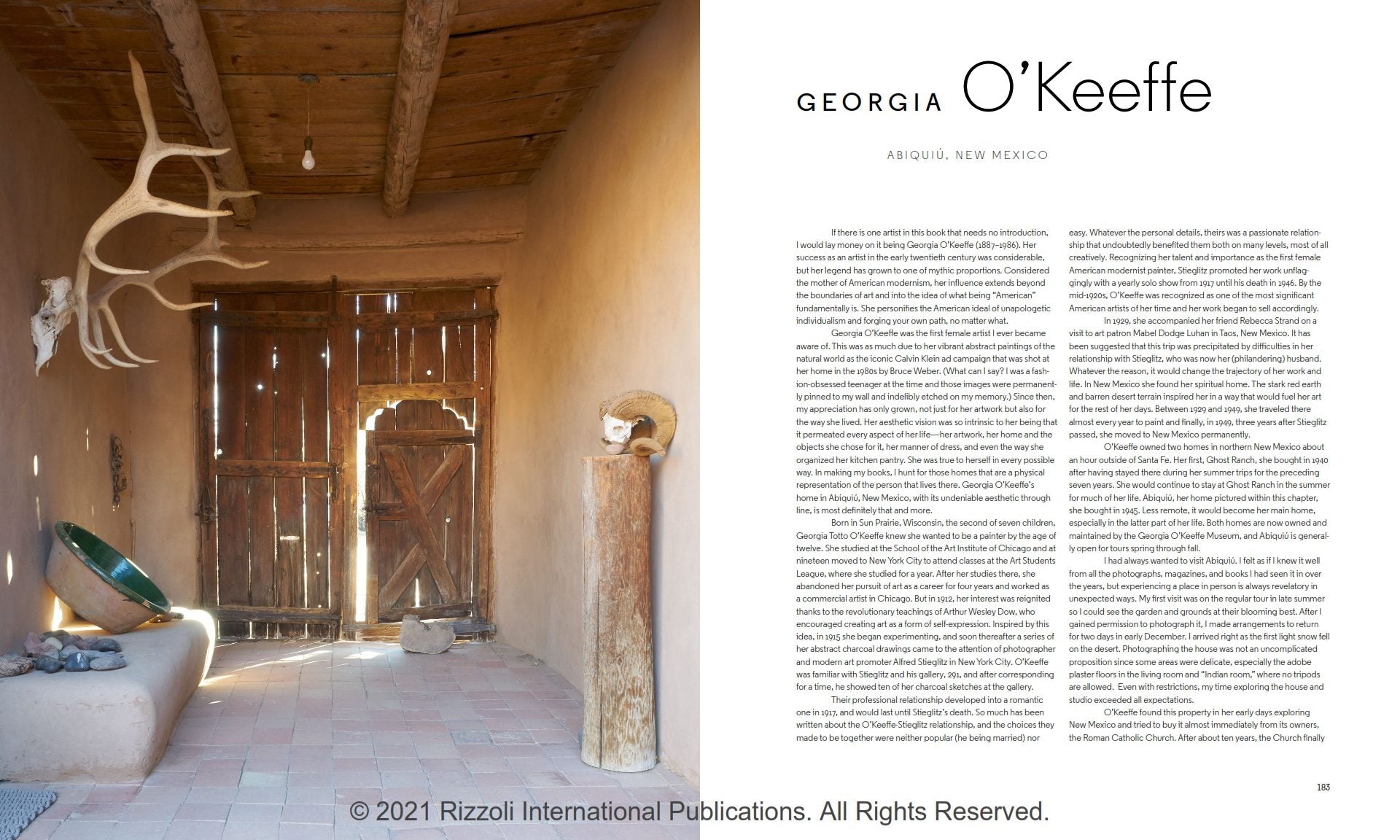 Raamat Still Lives: In the Homes Of Artists, Great and Unsung - snug.ee