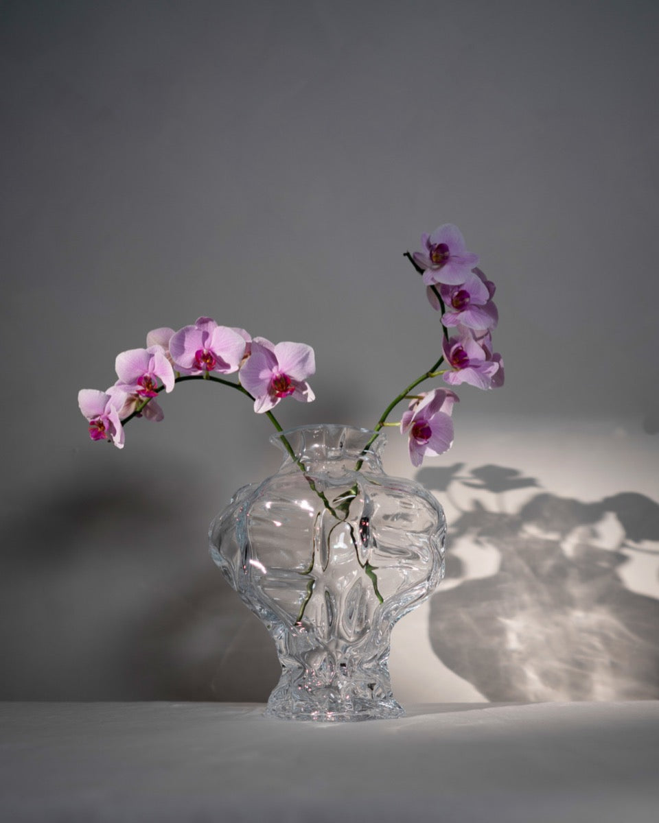 Ammonit Vaas, Clear - Hein Studio - snug.ee