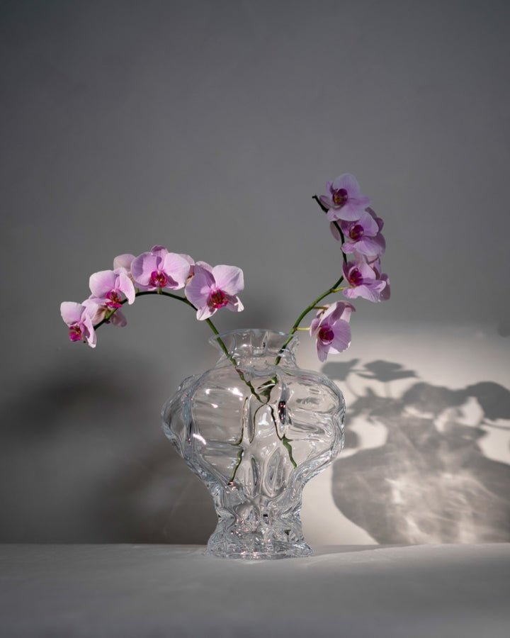 Ammonit Vaas, Clear - Hein Studio - snug.ee