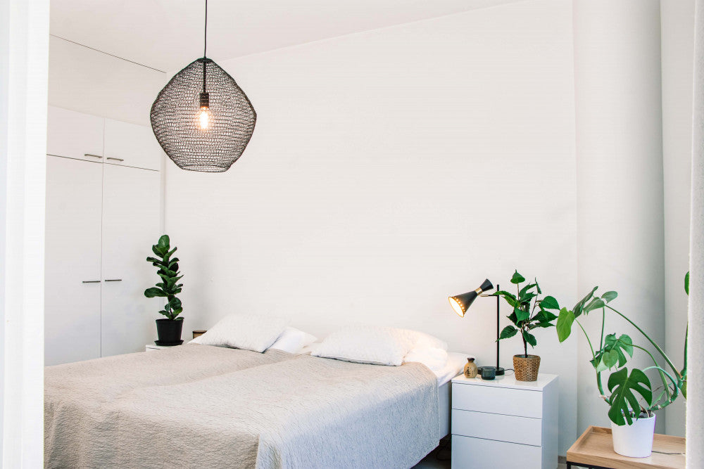 Penny Laevalgusti - Sessak - snug.ee