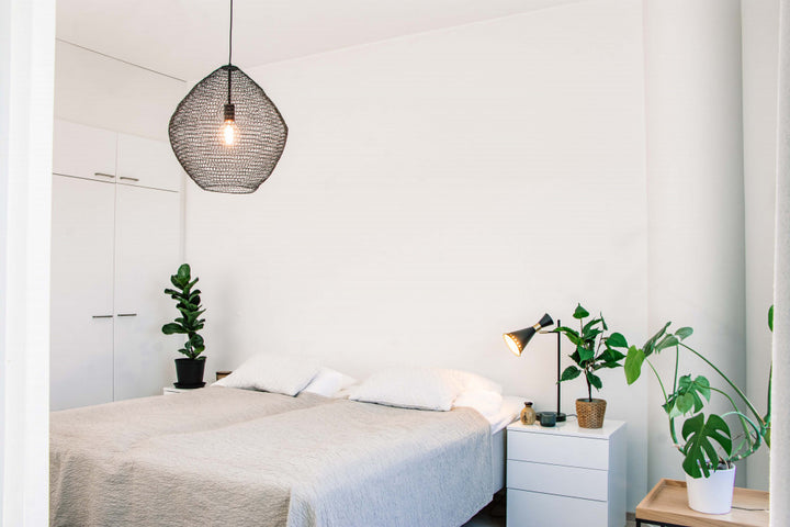 Penny Laevalgusti - Sessak - snug.ee