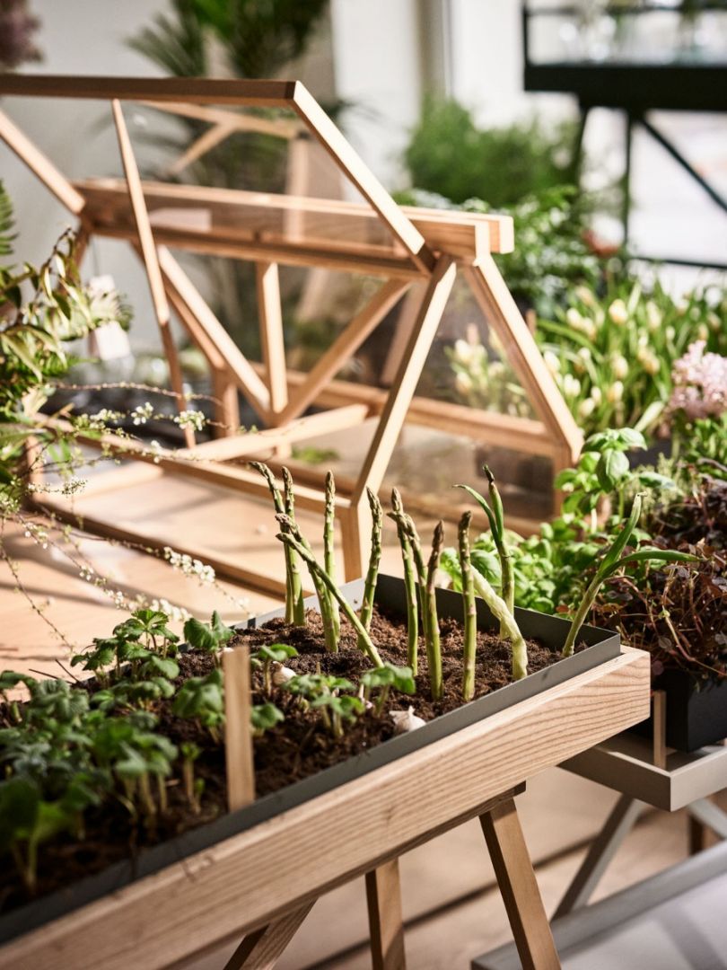 Greenhouse Kasvuhoone, Naturaalne Tamm - Design House Stockholm - snug.ee