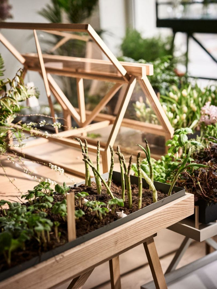 Greenhouse Kasvuhoone, Naturaalne Tamm - Design House Stockholm - snug.ee