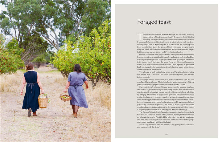 Raamat The Foraged Home - snug.ee
